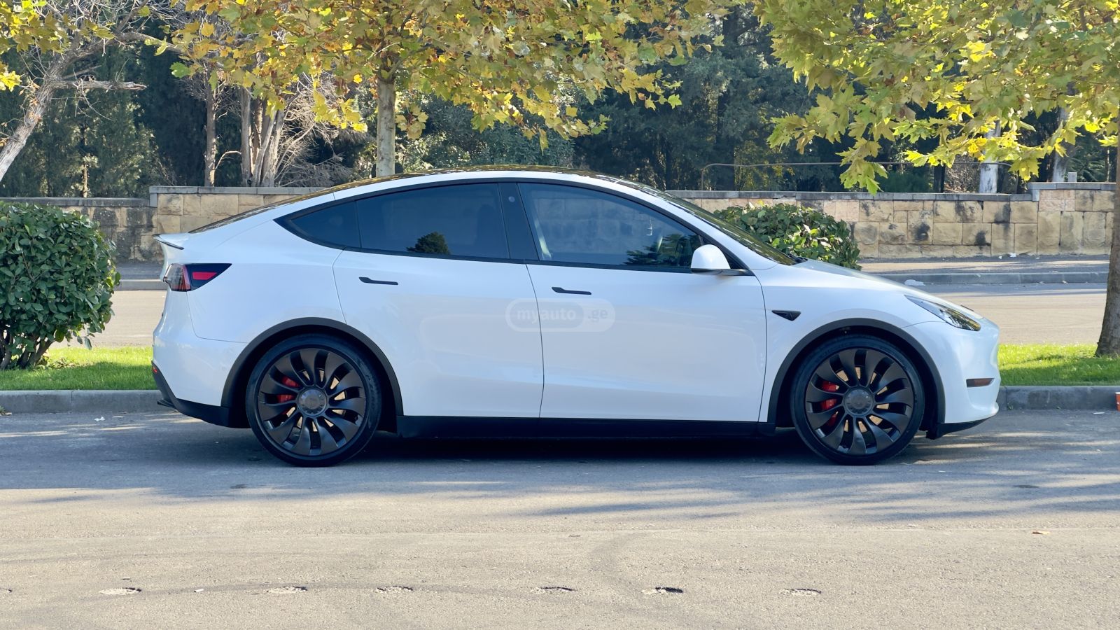 Tesla Model Y - фото 6