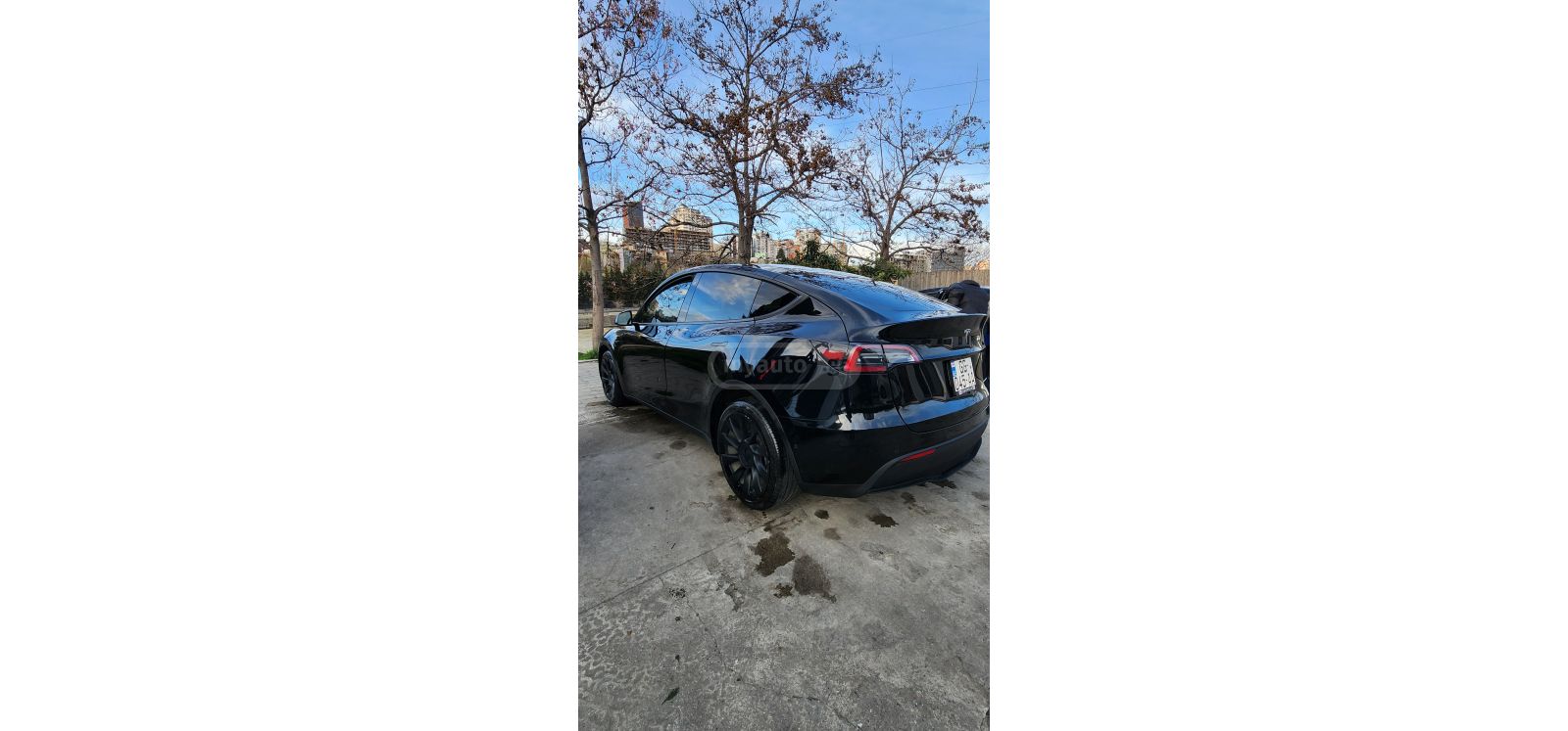 Tesla Model Y - фото 1