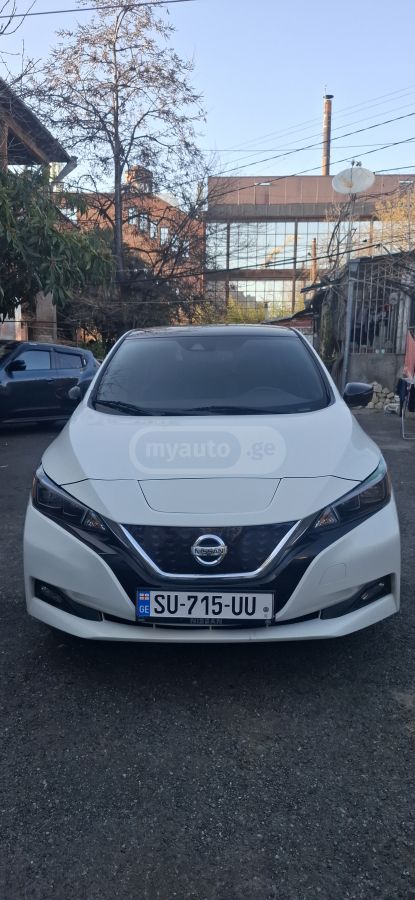 Nissan Leaf - фото 1
