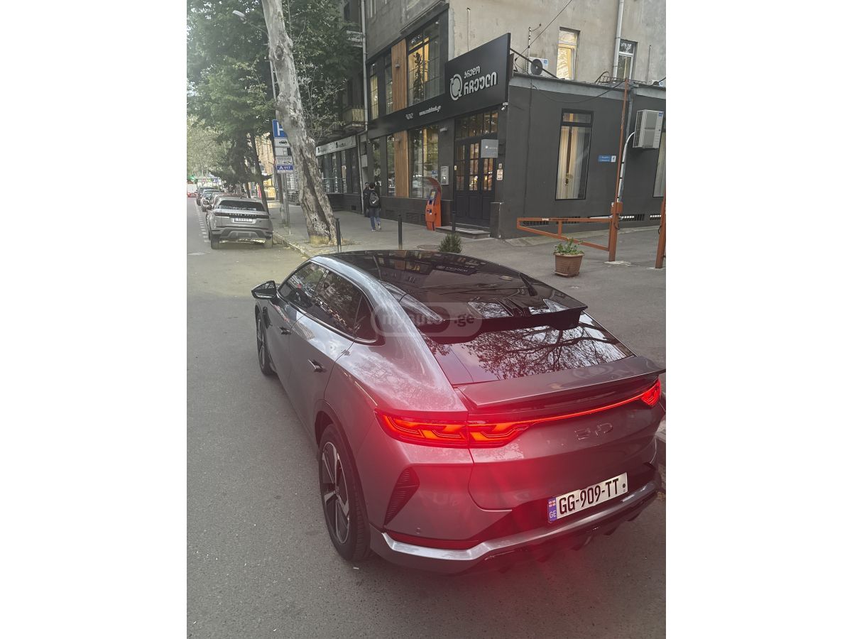 BYD Song L - фото 15