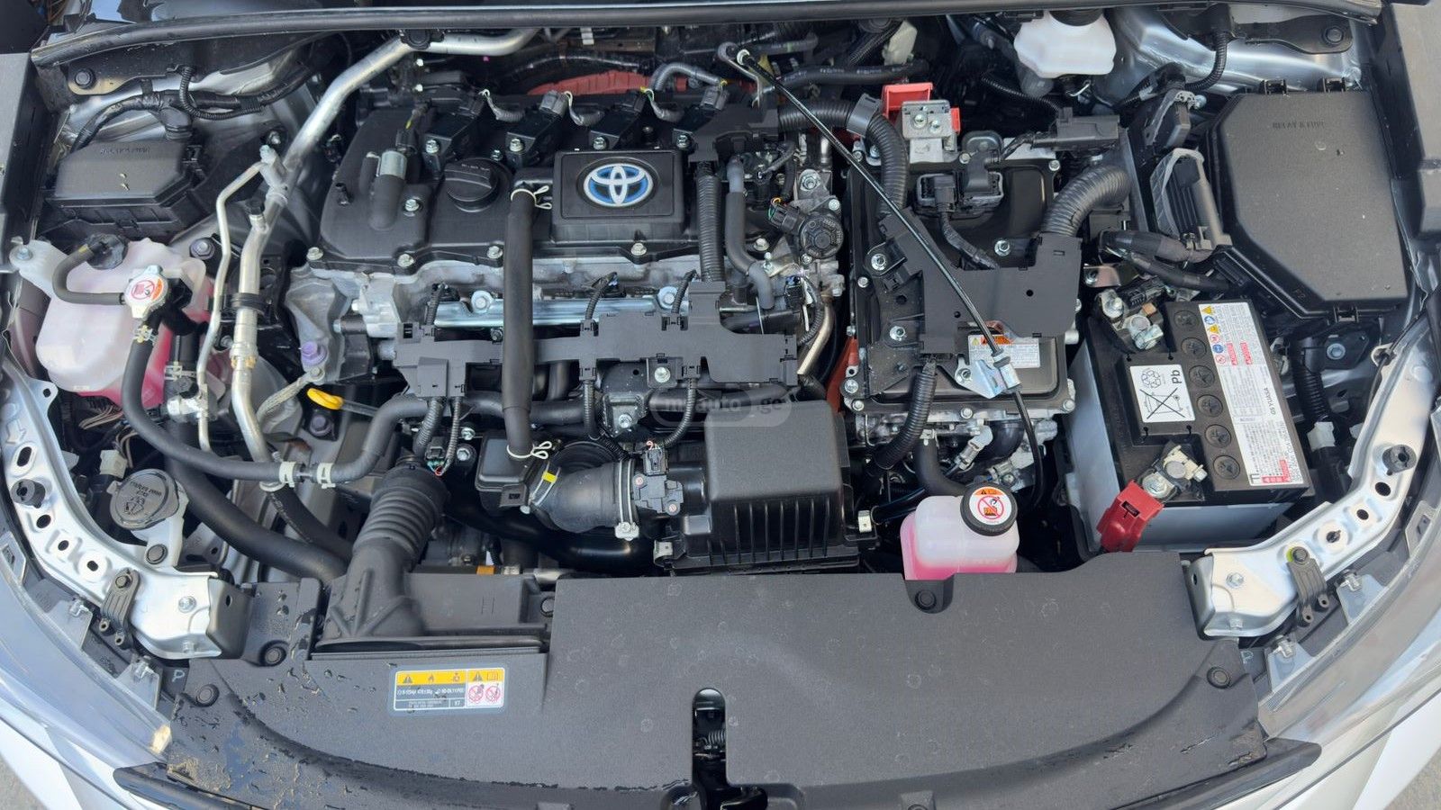 Toyota Corolla - фото 10