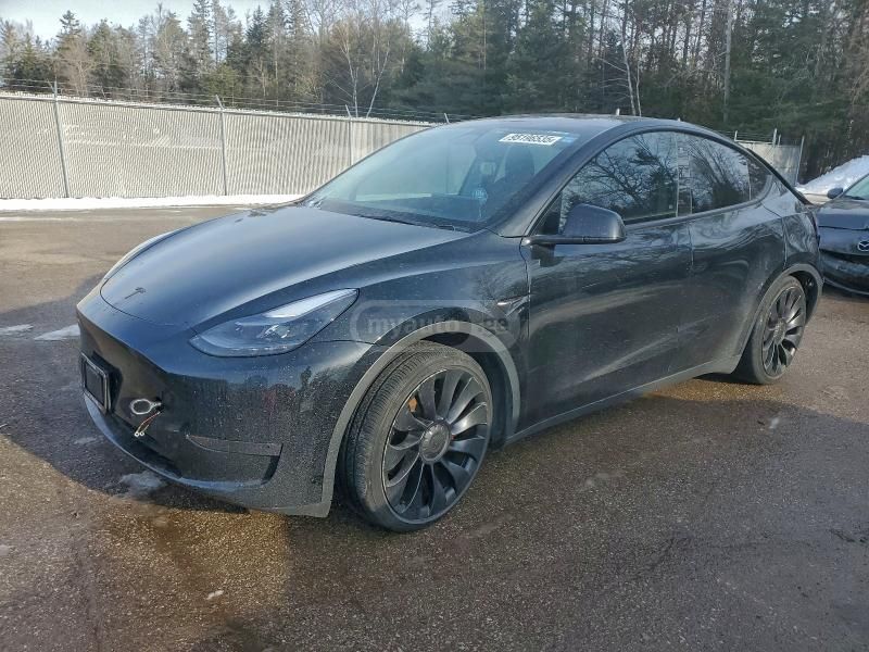 Tesla Model Y - фото 1