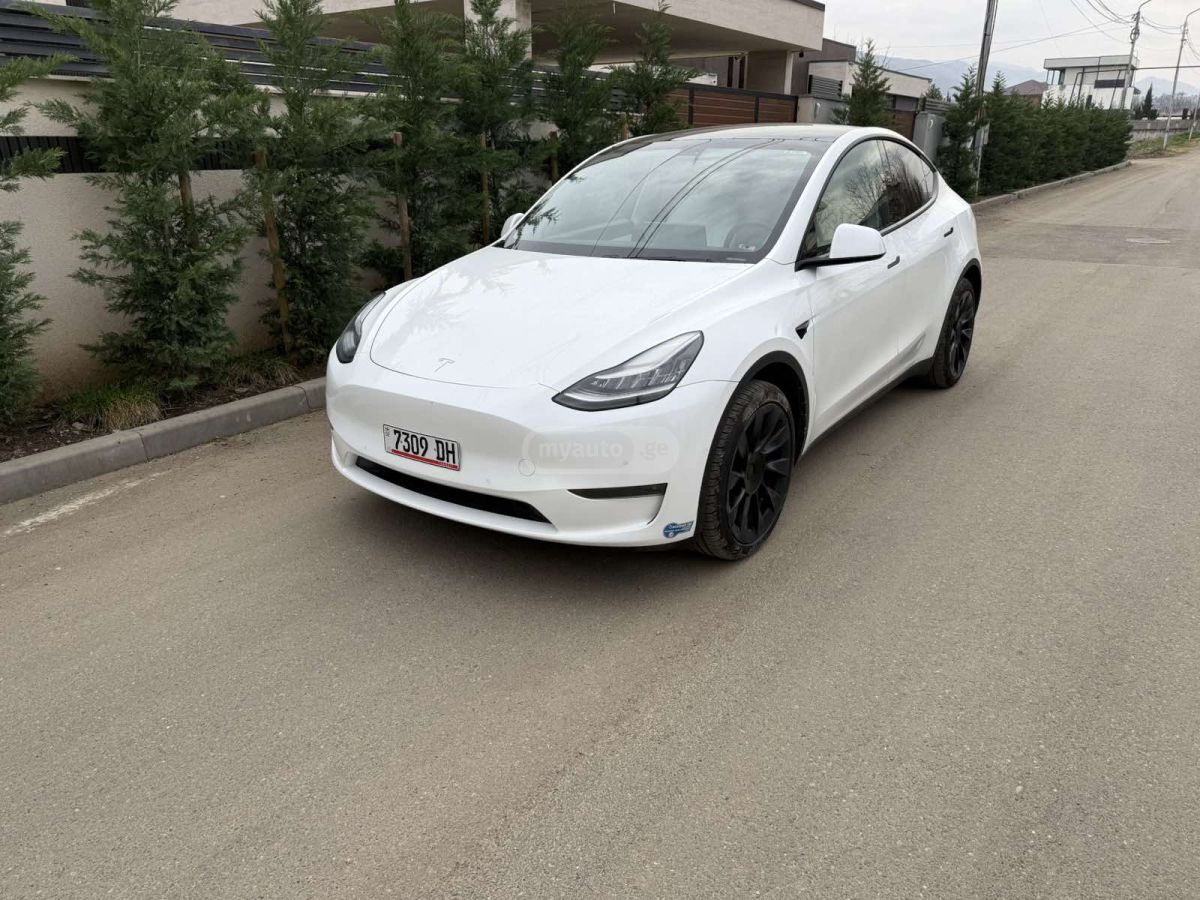 Tesla Model Y - фото 1