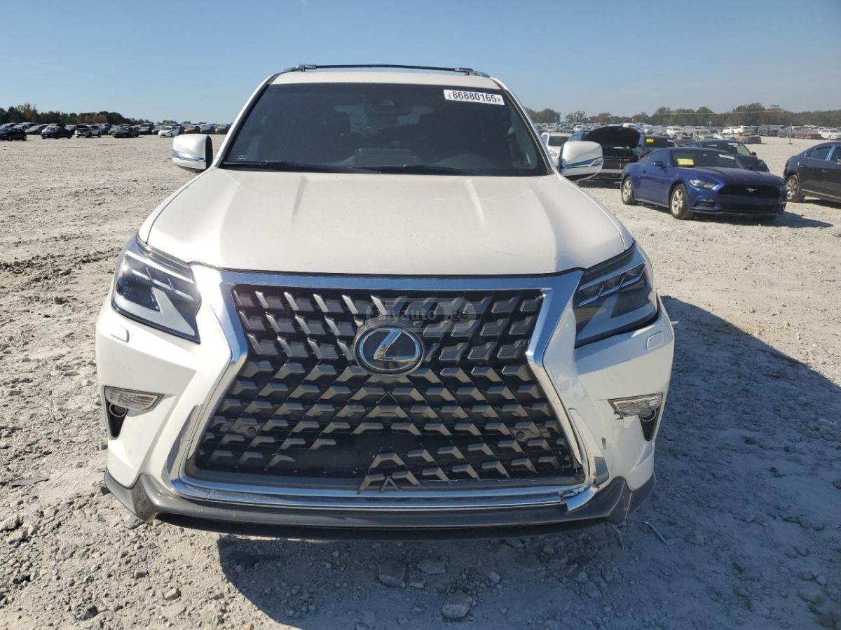 Lexus GX 460 2023 — миниатюра 6