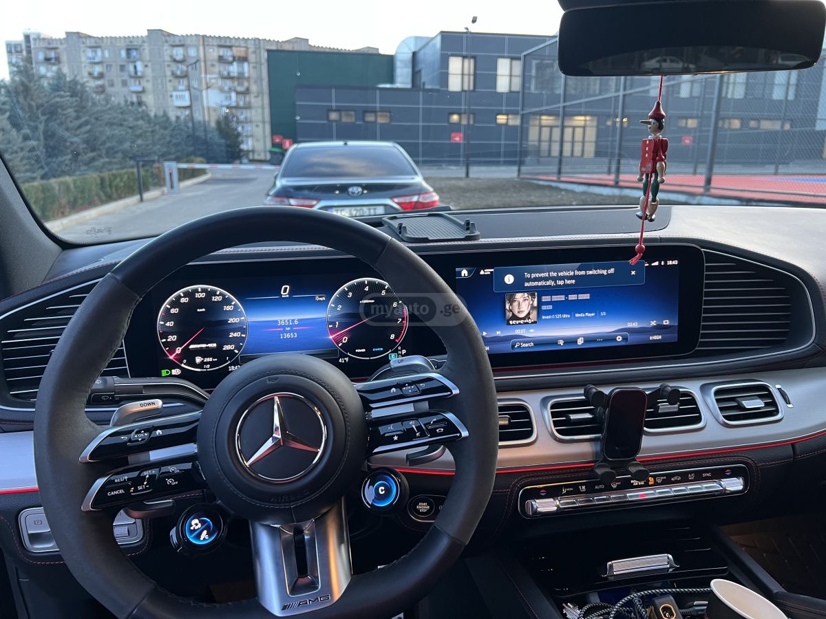 Mercedes-Benz GLE 53 - фото 12