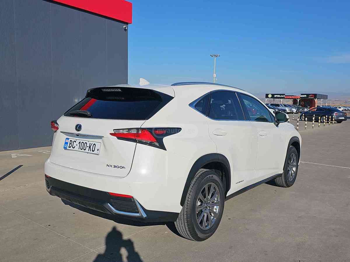 Lexus NX 300 2021 — миниатюра 7