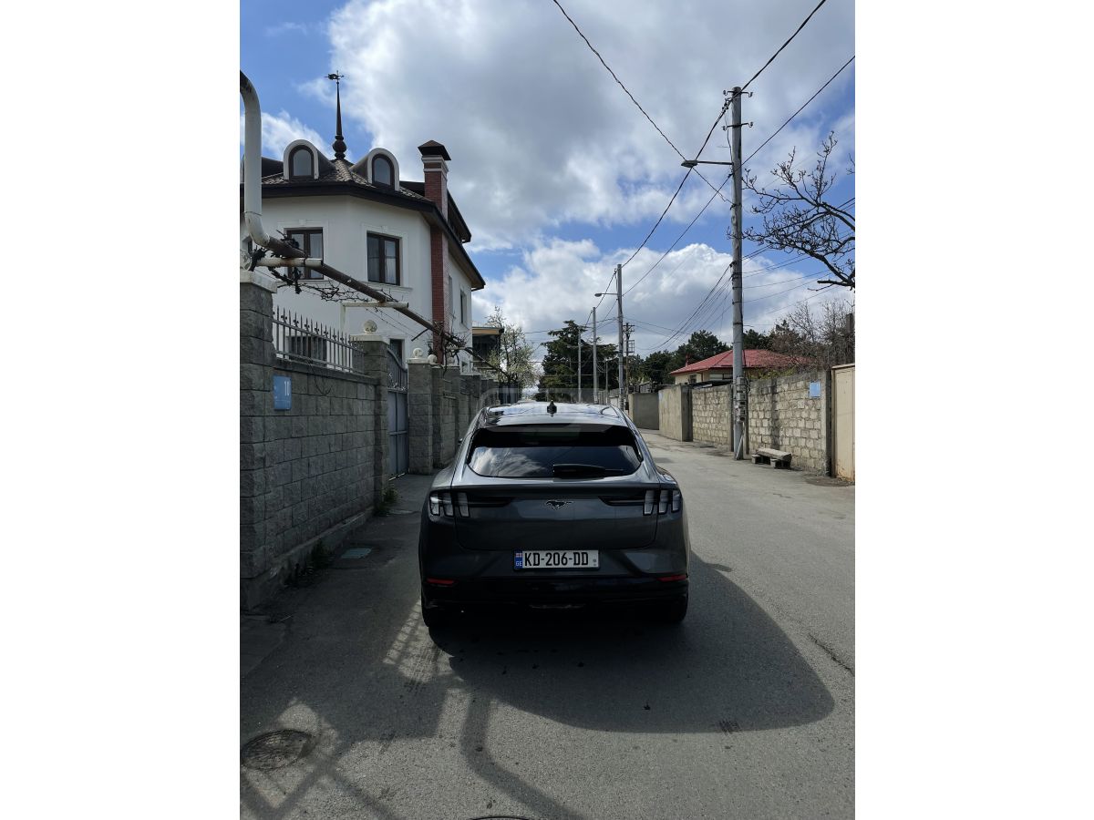 Ford Mustang Mach-E - фото 2