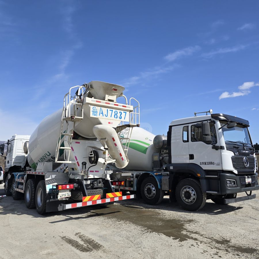 SHACMAN  — миниатюра 12