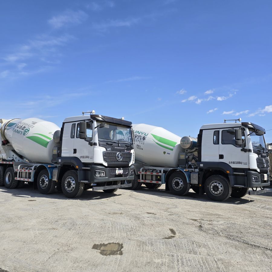 SHACMAN  — миниатюра 13