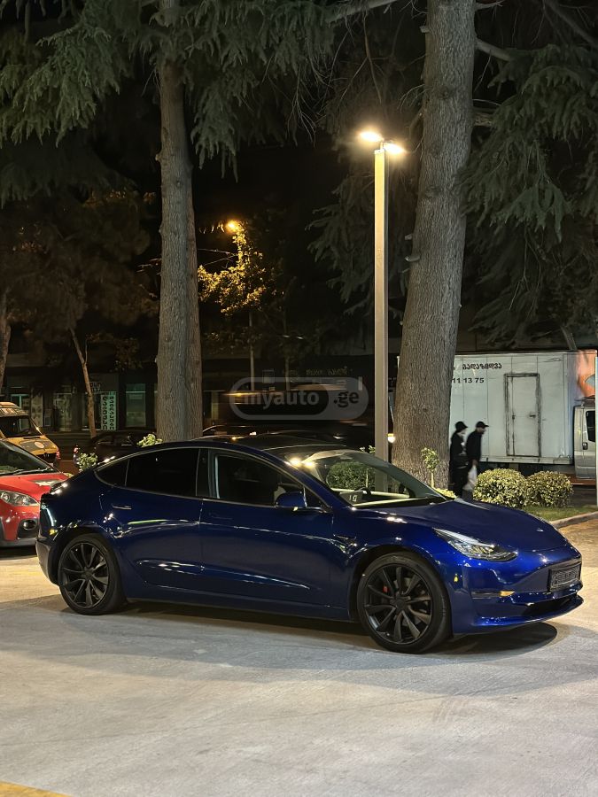 TeslaModel 32019