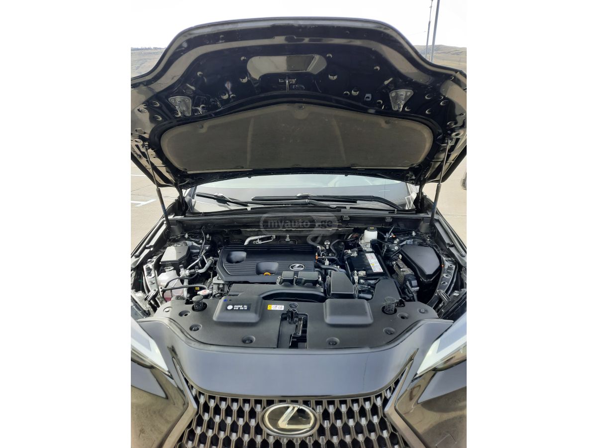 Lexus nx250 - фото 10