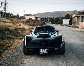 ChevroletCorvette STINGRAY1979