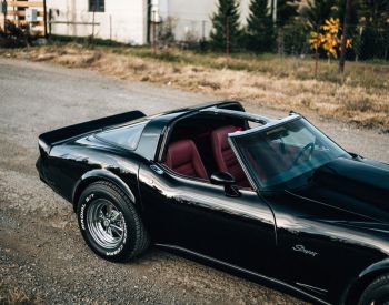 ChevroletCorvette STINGRAY1979