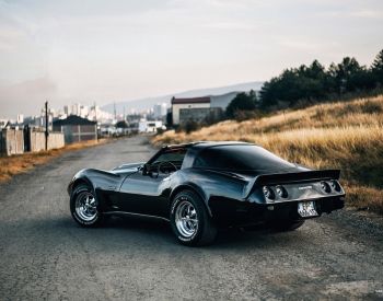 ChevroletCorvette STINGRAY1979