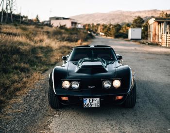 ChevroletCorvette STINGRAY1979