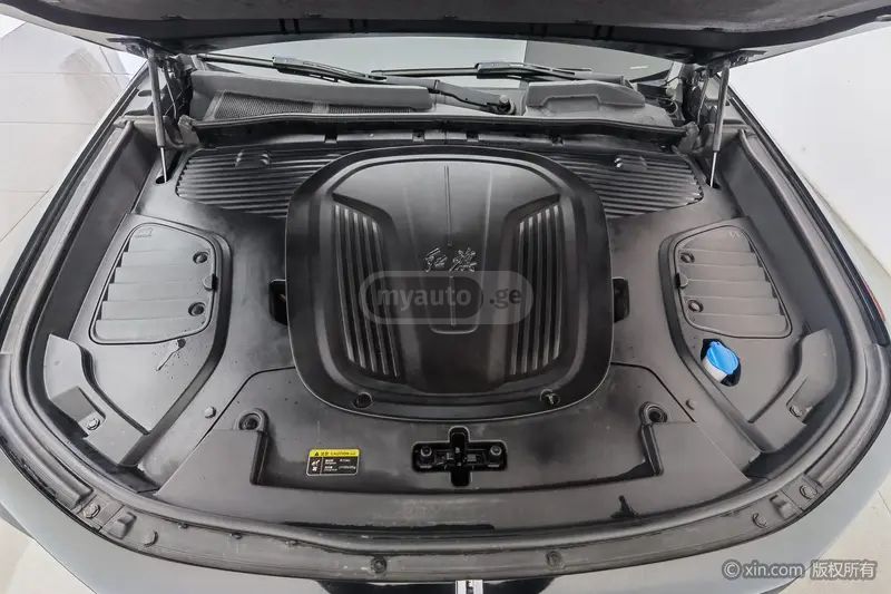 Hongqi E-HS9 - фото 6