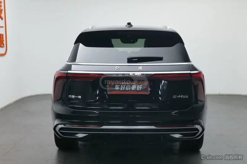 Hongqi E-HS9 - фото 3