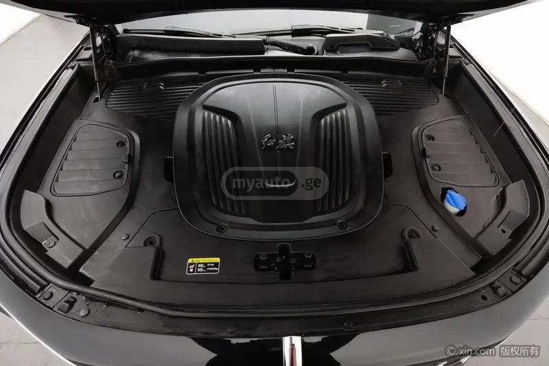 Hongqi E-HS9 - фото 6