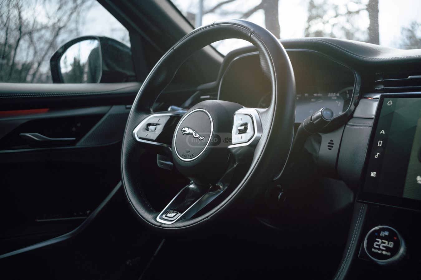 Jaguar  — миниатюра 10