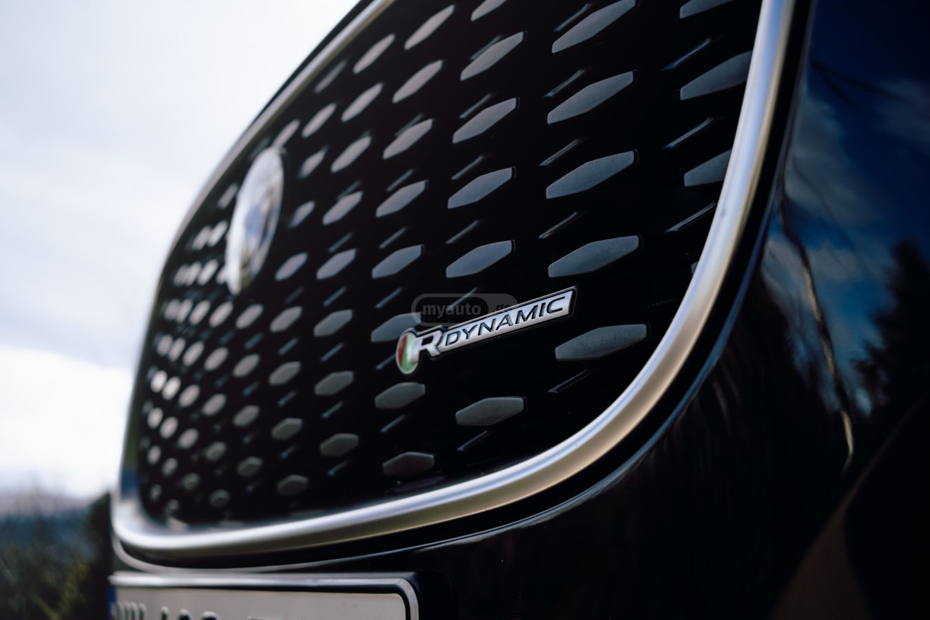 Jaguar  — миниатюра 2