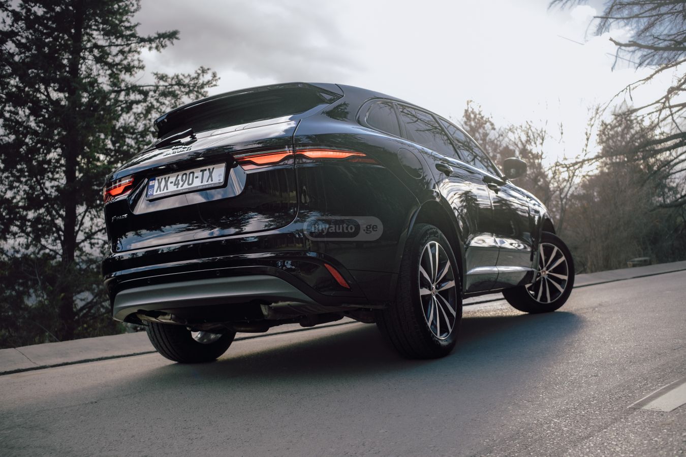 Jaguar  — миниатюра 3