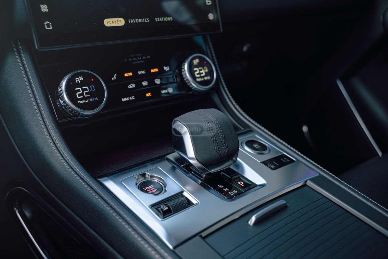 Jaguar  — миниатюра 5