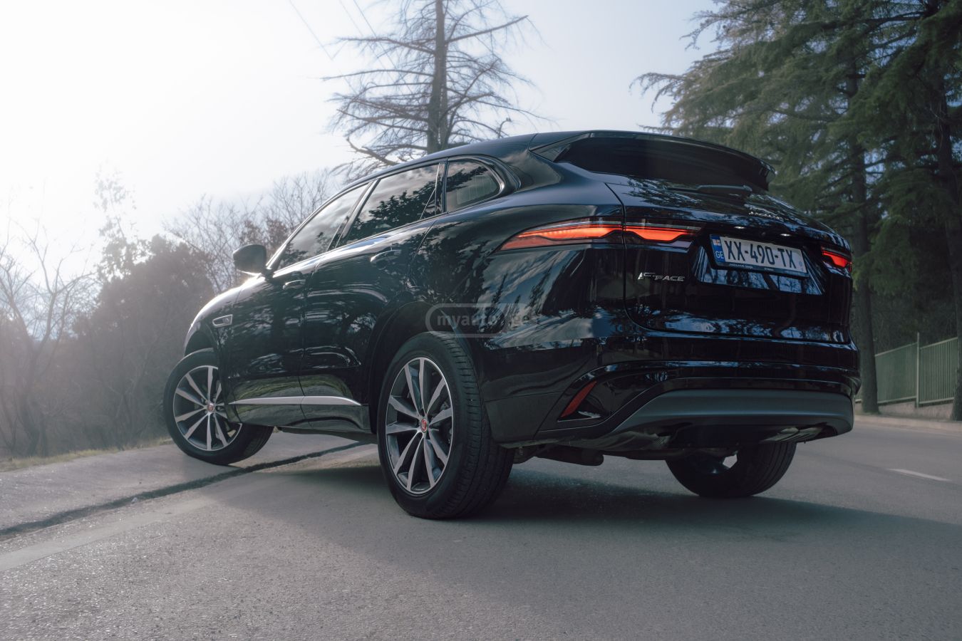 Jaguar  — миниатюра 6