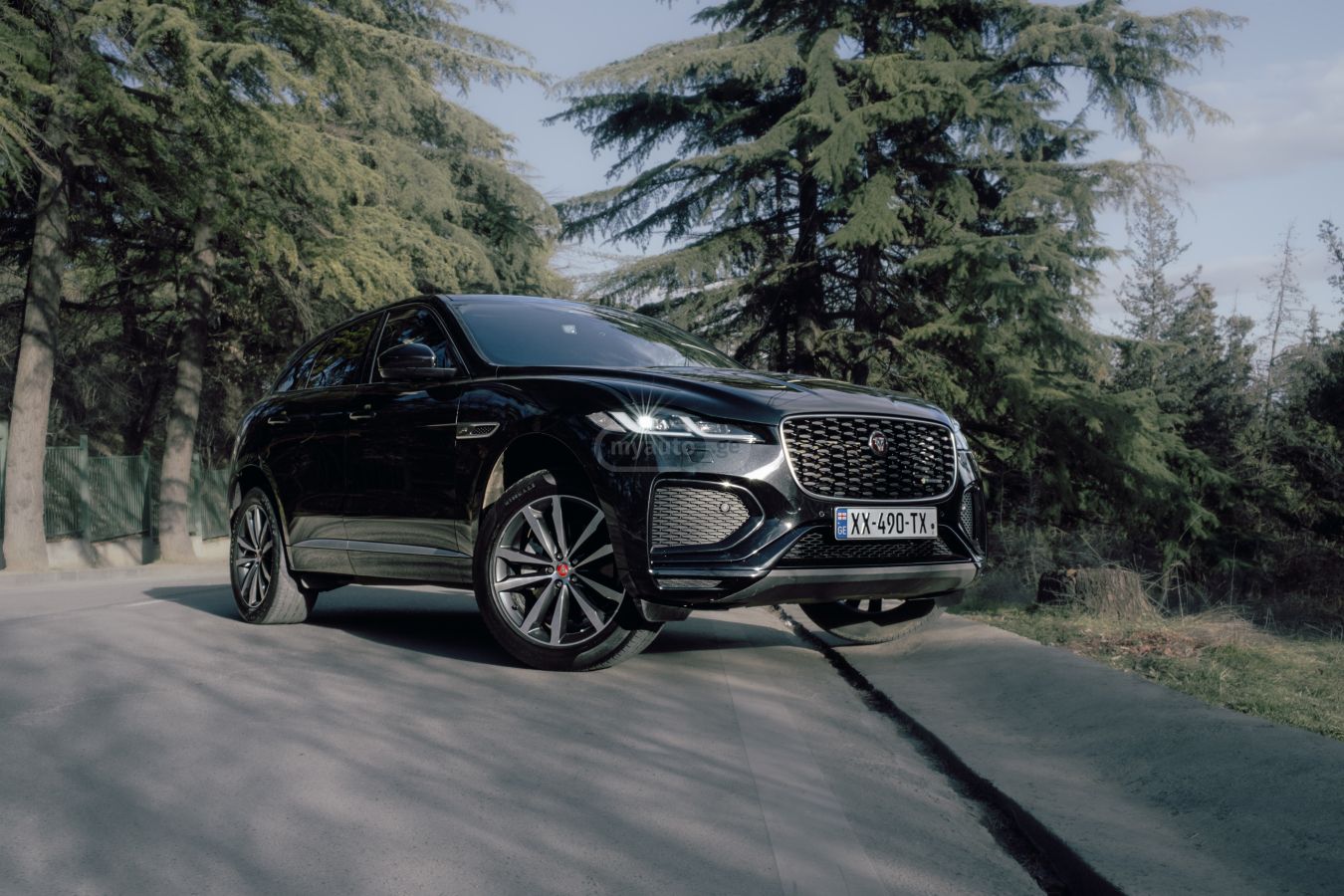 Jaguar  — миниатюра 7