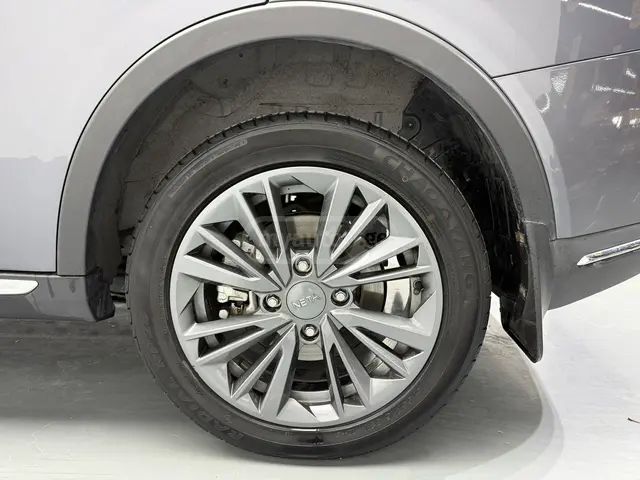 Neta V - фото 11