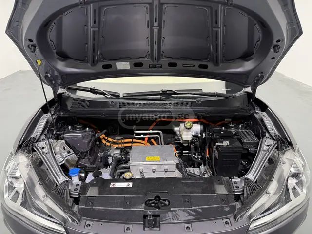 Neta V - фото 12