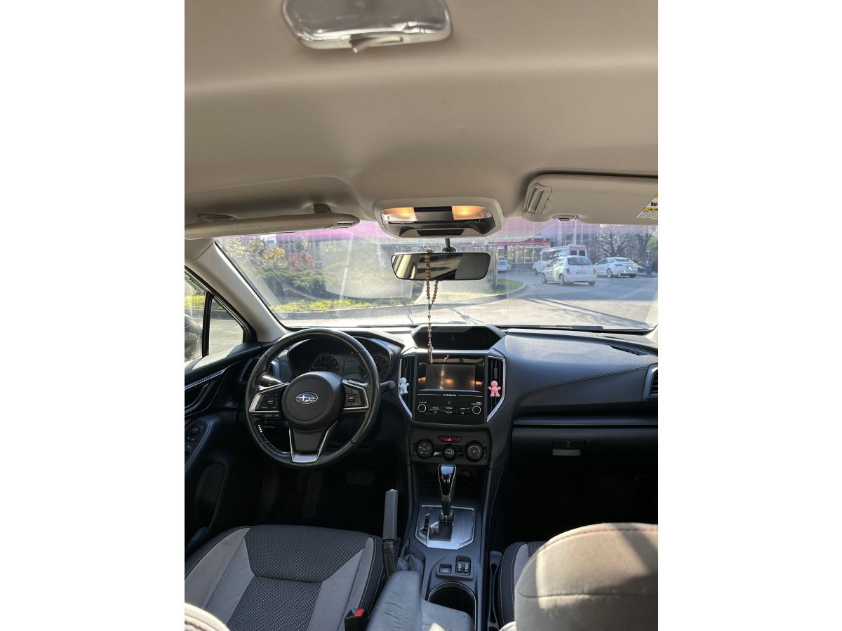 Subaru Crosstrek - фото 6