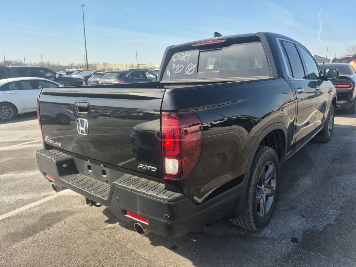 Honda Ridgeline RTL-E All-Wheel Drive Crew Cab 2022 — миниатюра 4