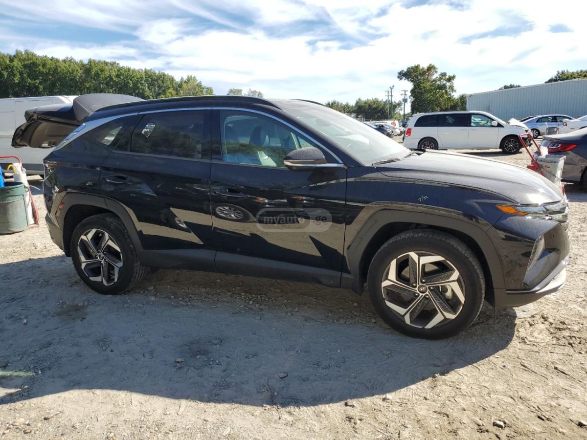 Hyundai Limited — миниатюра 2