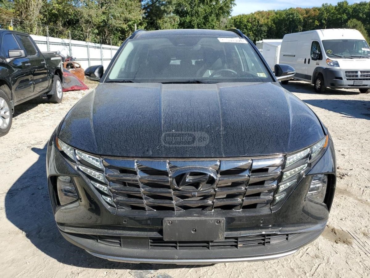 Hyundai Limited — миниатюра 3