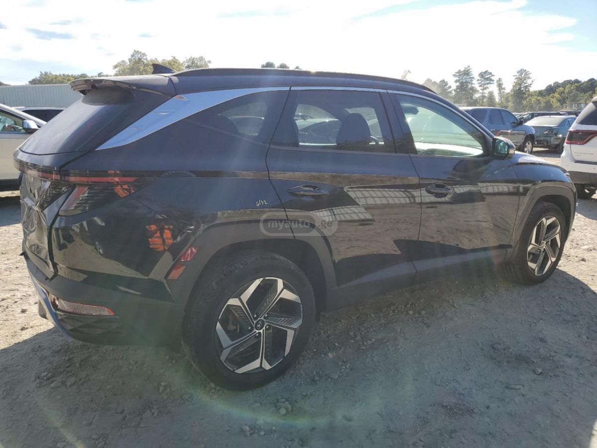 Hyundai Limited — миниатюра 6