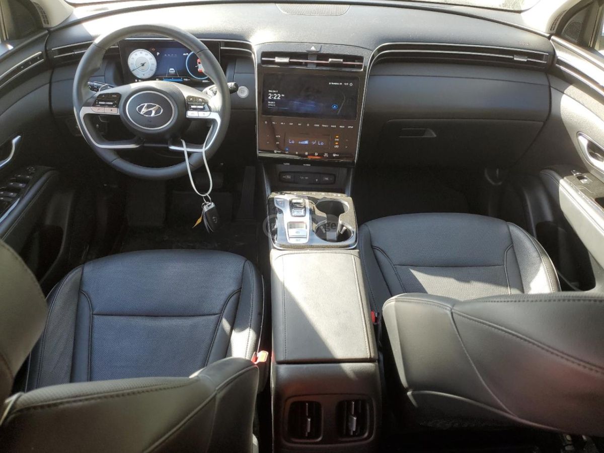 Hyundai Limited — миниатюра 7