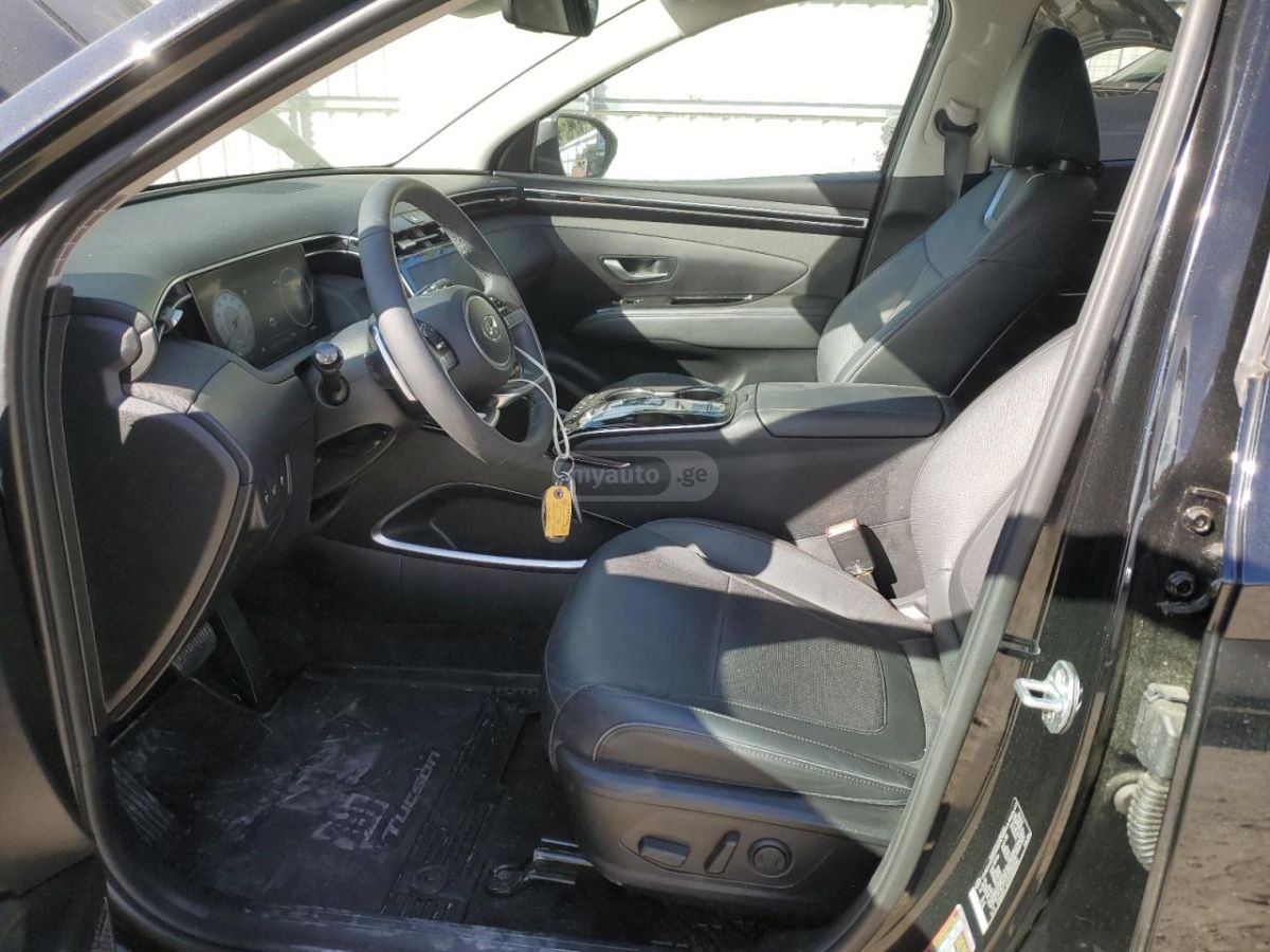 Hyundai Limited — миниатюра 8