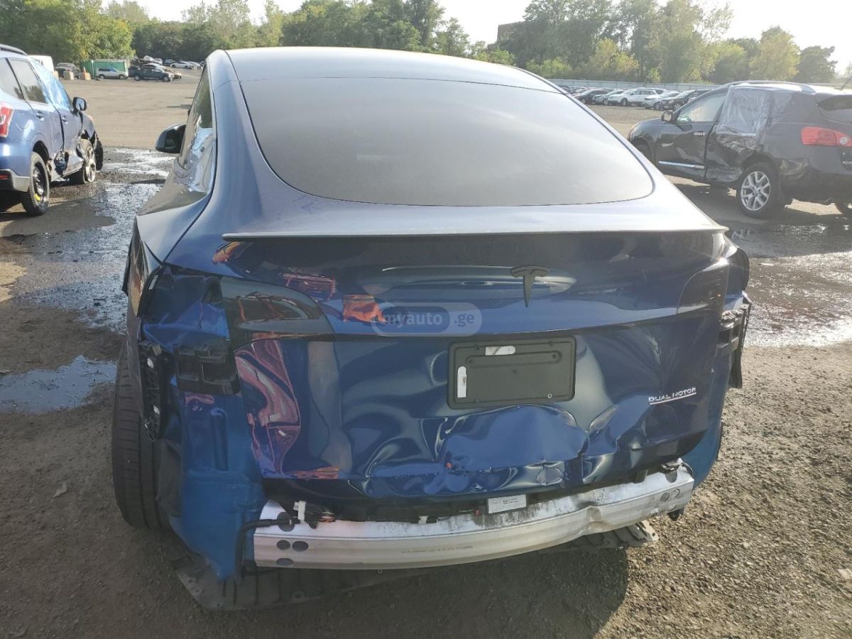 Tesla Model Y - фото 1