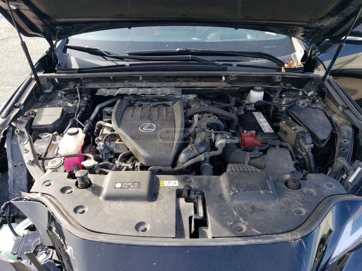 Lexus NX 350 - фото 10