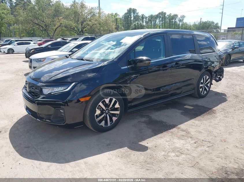 Honda Odyssey 2025 — миниатюра 2