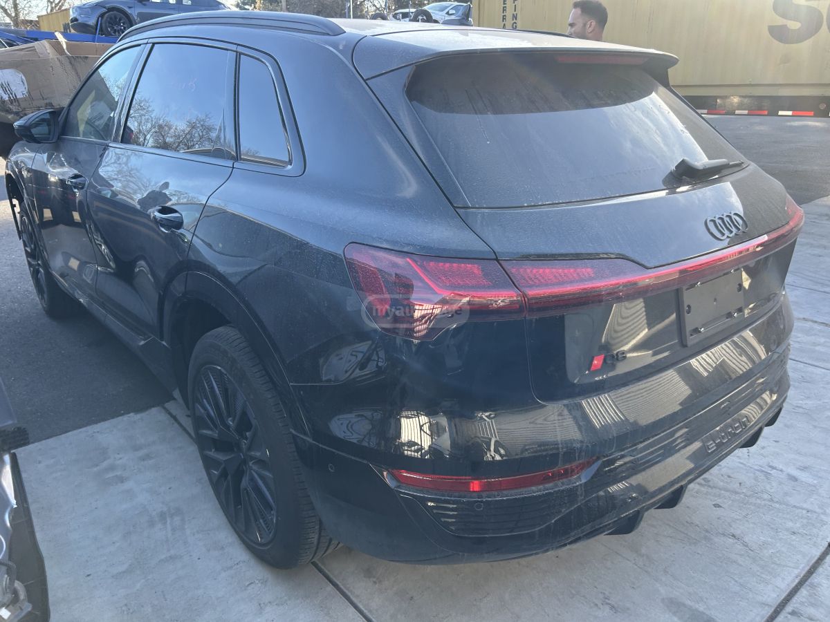 Audi Q8 2024 — миниатюра 6