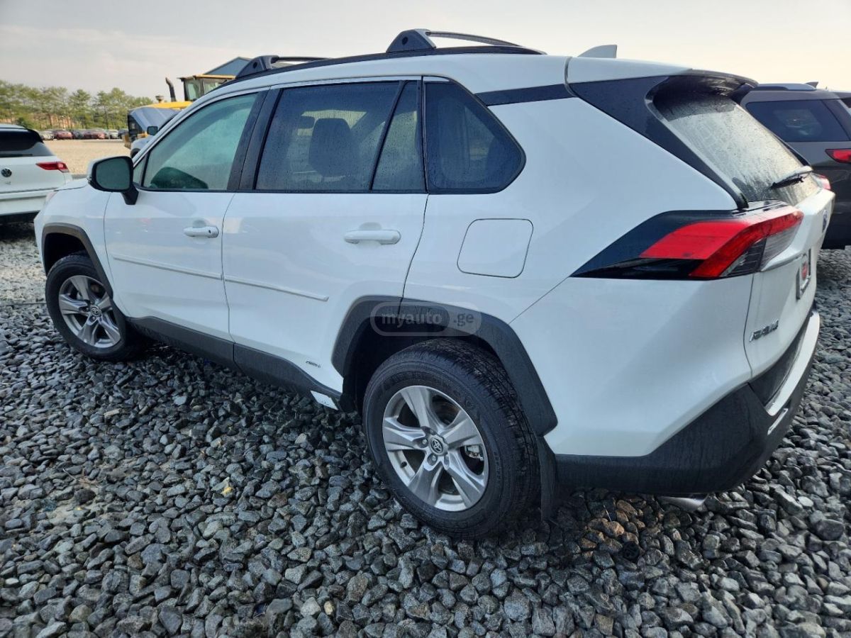 Toyota Xle — миниатюра 2