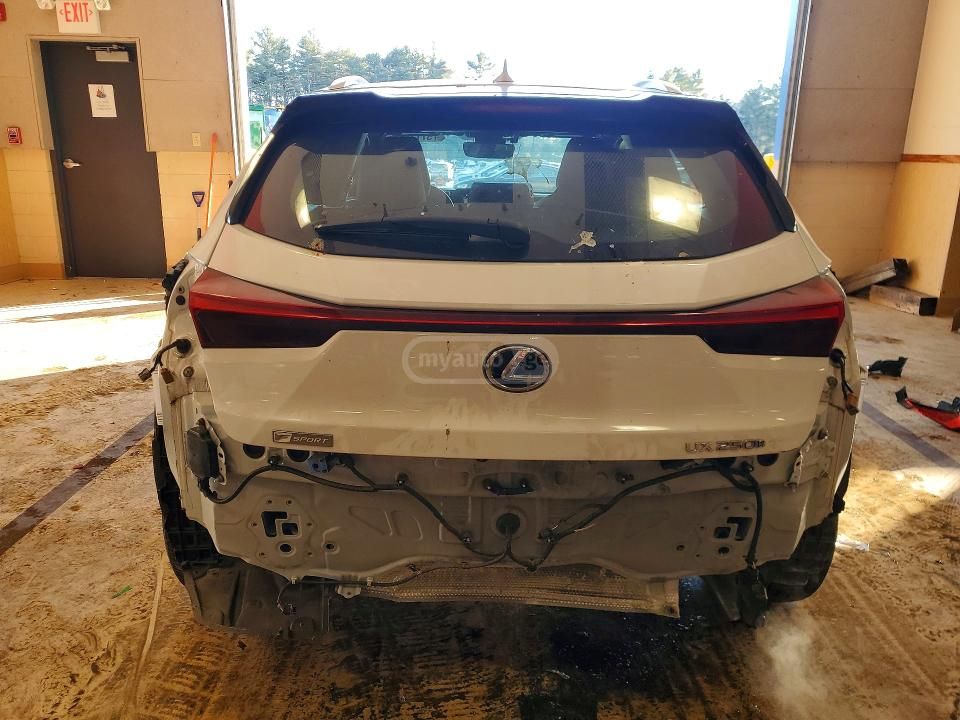 Lexus F SPORT — миниатюра 6