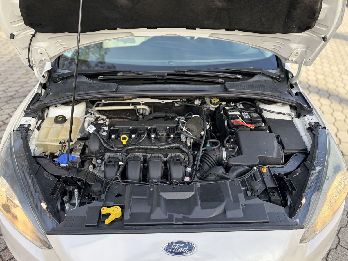 Ford Focus - фото 13