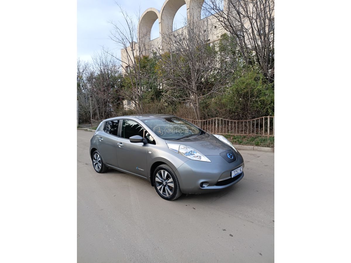 Nissan Leaf - фото 1