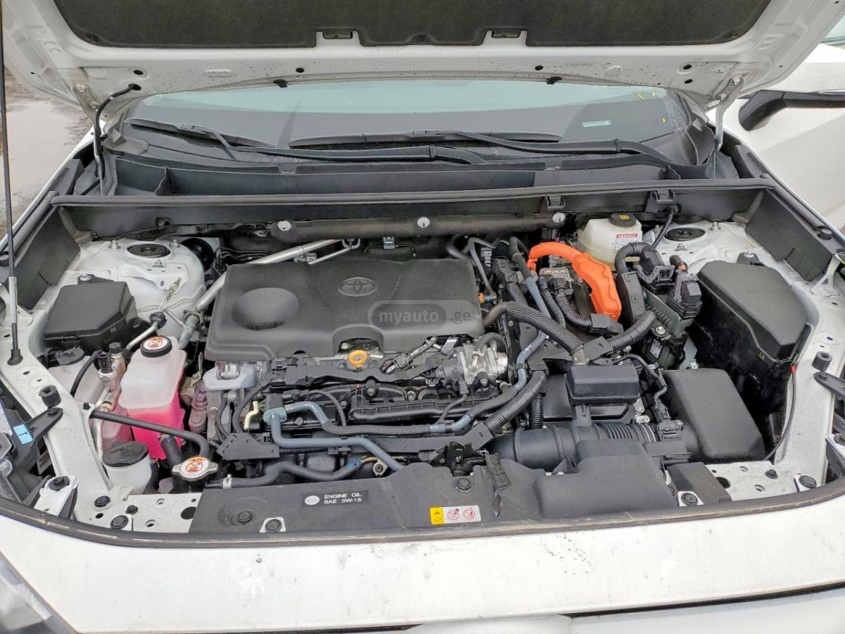 Toyota XLE — миниатюра 11