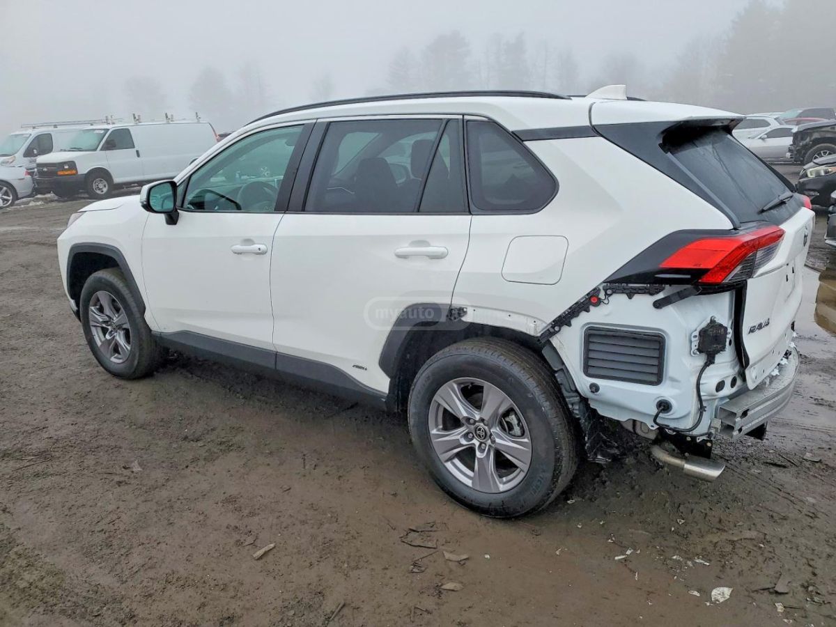 Toyota XLE — миниатюра 2