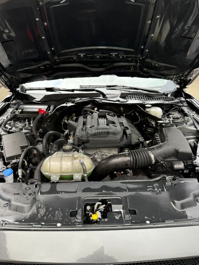 Ford Mustang - фото 11