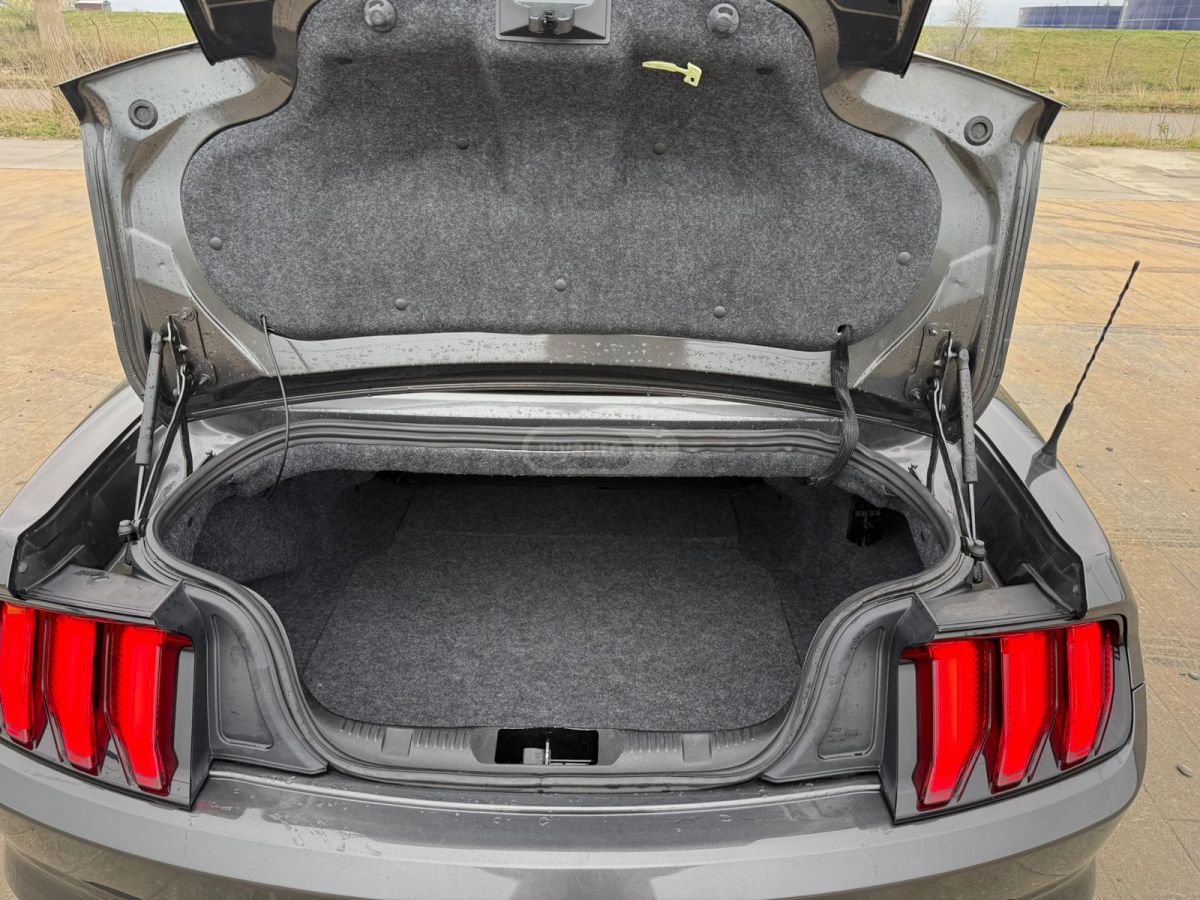 Ford Mustang - фото 9