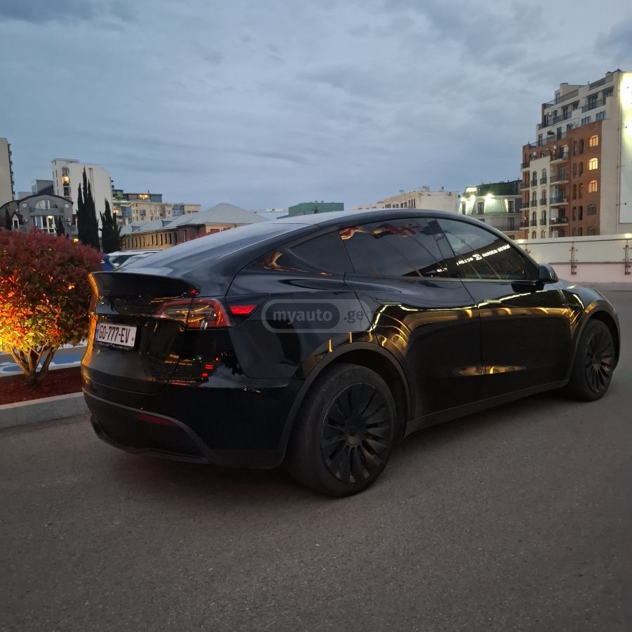 Tesla Model Y - фото 1